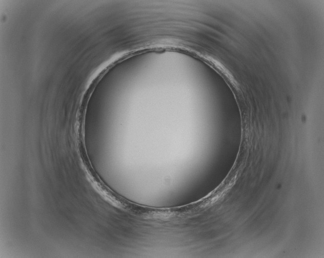 X0000081431134200702021646