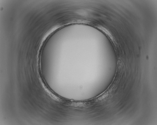 X0000081431135200702021646