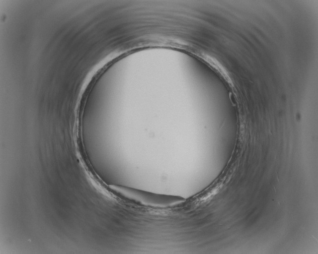 X0000081431136200702021646