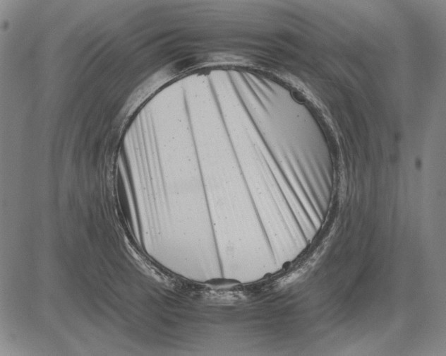 X0000081431137200702021646