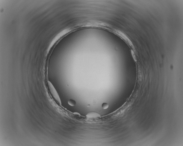 X0000081431138200702021646