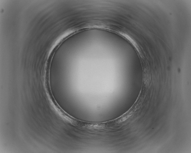 X0000081431139200702021646