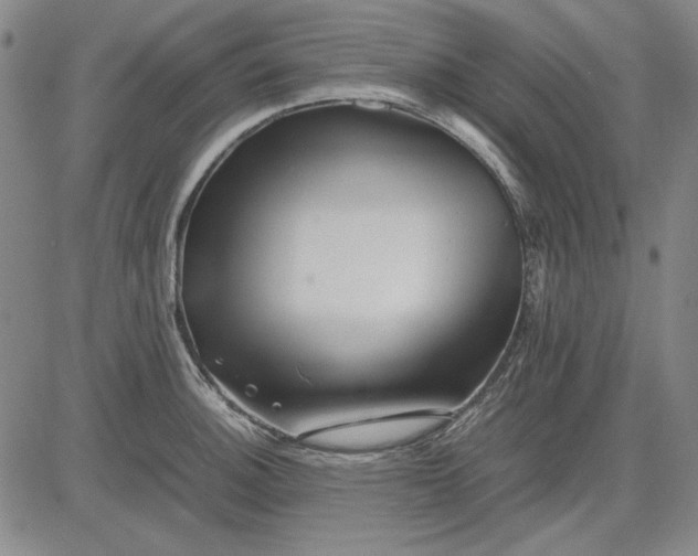 X0000081431140200702021646