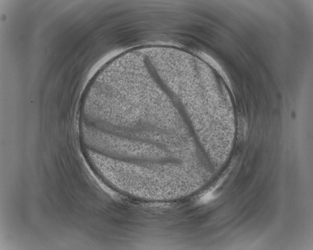 X0000081431141200702021646