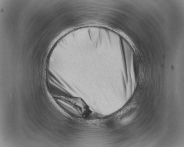 X0000081431142200702021646