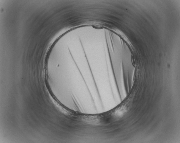 X0000081431143200702021646