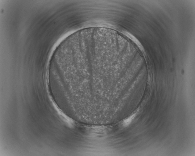 X0000081431144200702021646