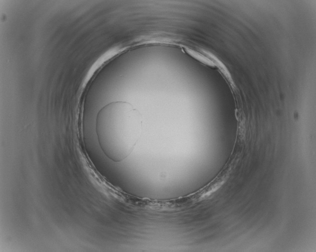 X0000081431146200702021646