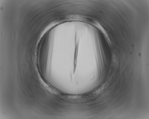 X0000081431147200702021646