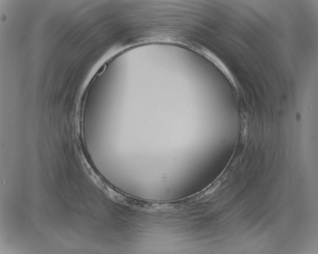 X0000081431148200702021646