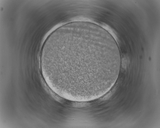 X0000081431150200702021646