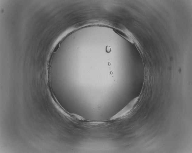 X0000081431151200702021646