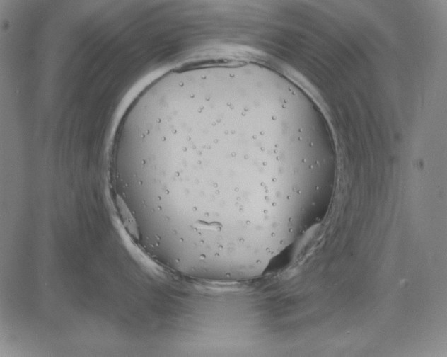 X0000081431152200702021646