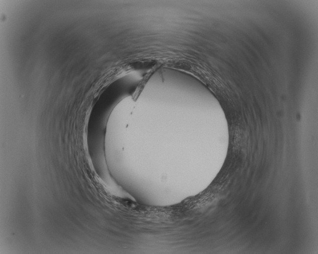 X0000081431153200702021645