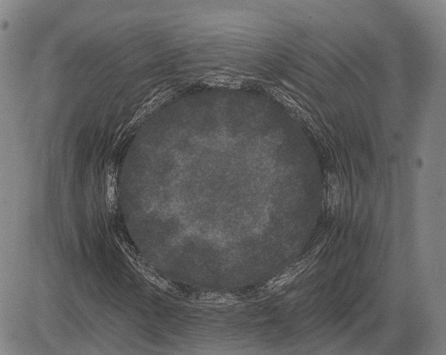 X0000081431154200702021645