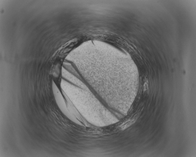 X0000081431156200702021645