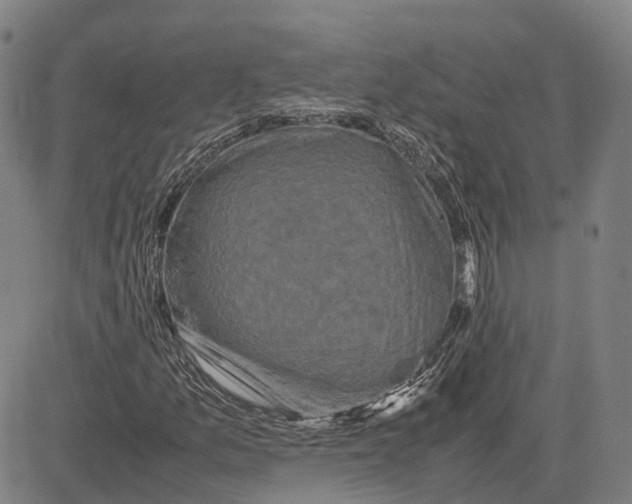 X0000081431157200702021645