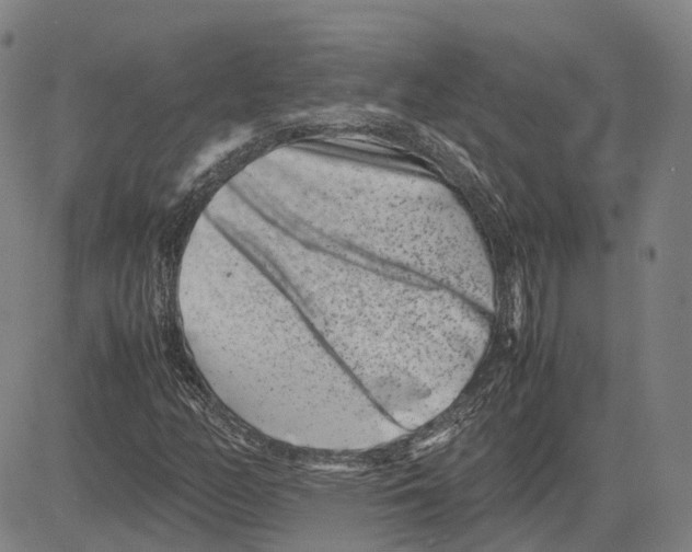 X0000081431158200702021645