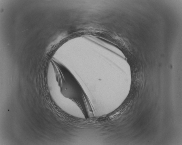 X0000081431159200702021645