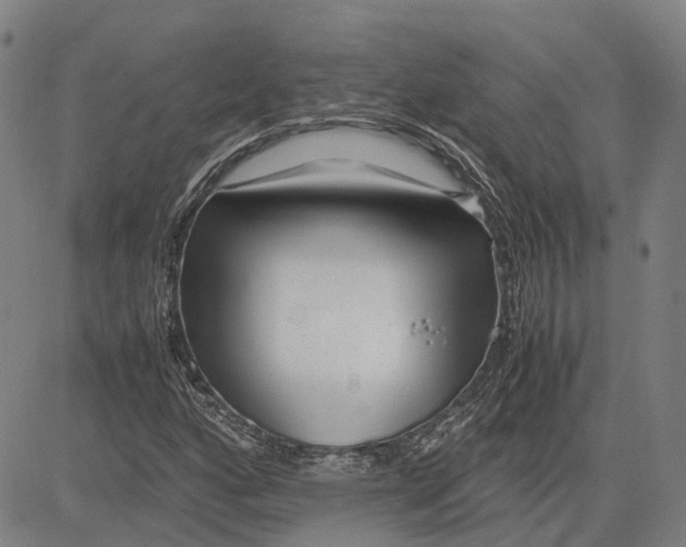 X0000081431160200702021645