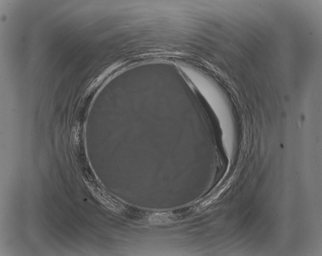 X0000081431161200702021645