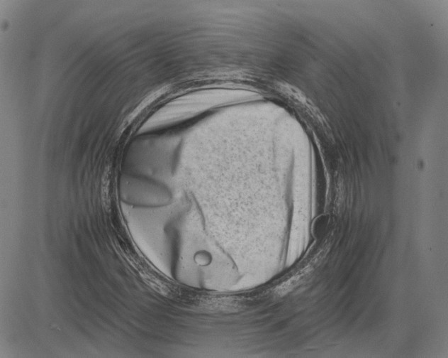 X0000081431162200702021645