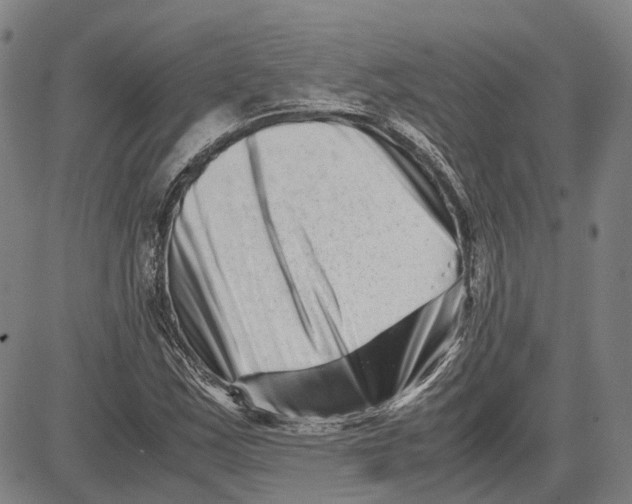 X0000081431163200702021645