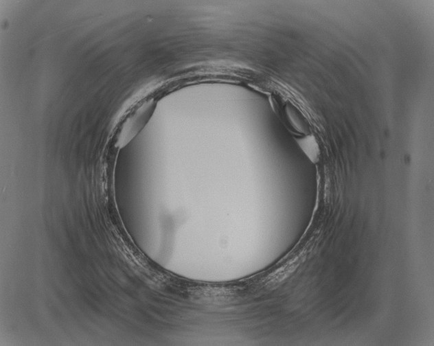 X0000081431164200702021645