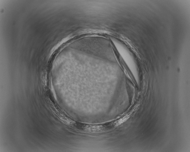 X0000081431165200702021645