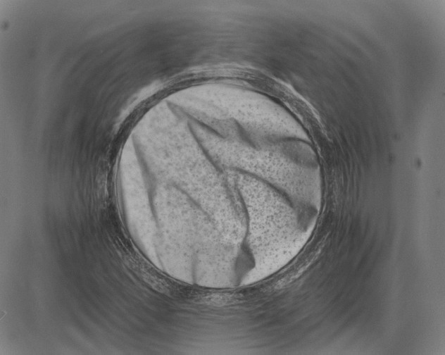 X0000081431166200702021645