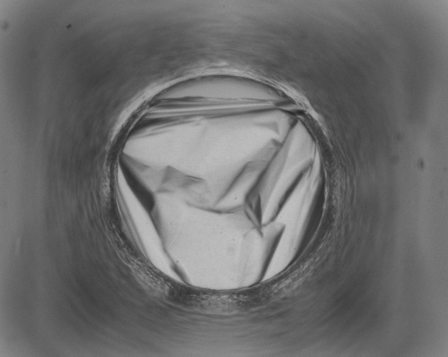 X0000081431167200702021645