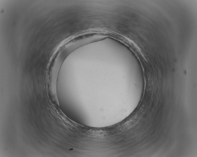 X0000081431168200702021645