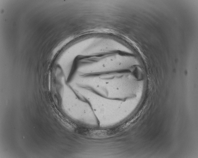 X0000081431171200702021645