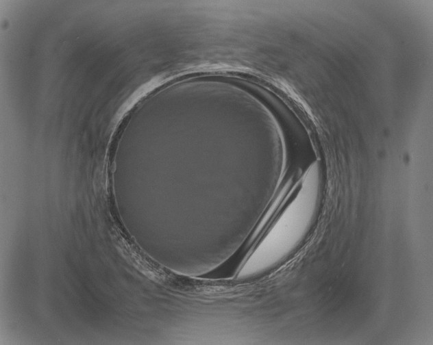 X0000081431173200702021645