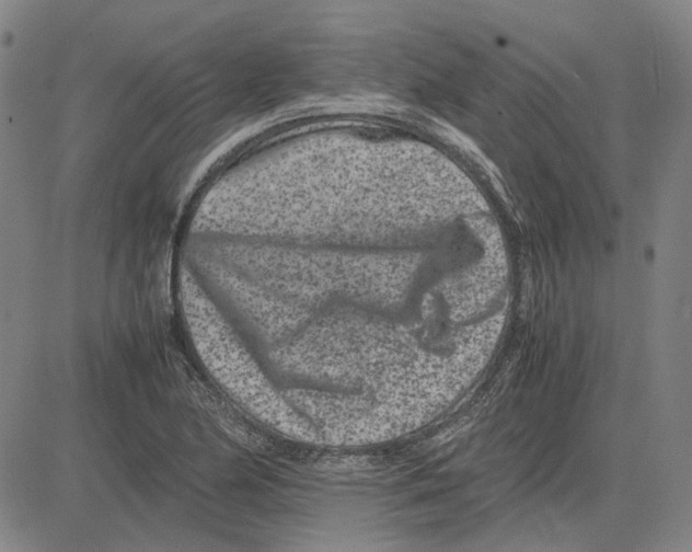 X0000081431174200702021645