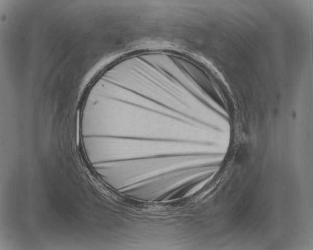 X0000081431175200702021645