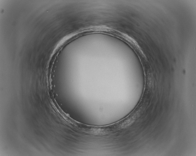 X0000081431176200702021645