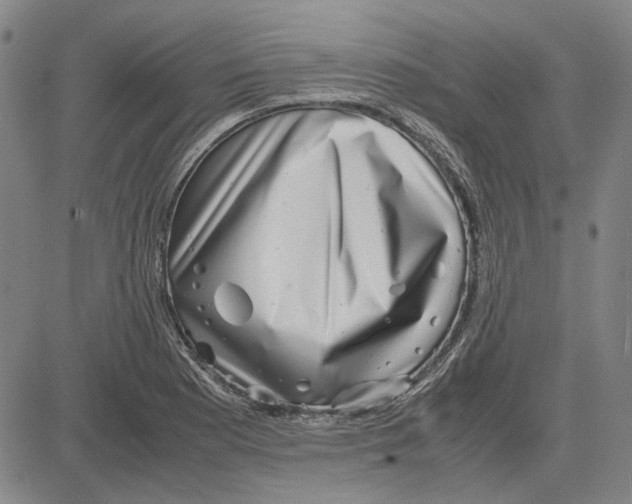 X0000081431177200702021645