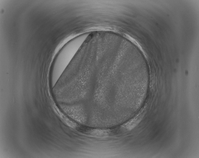 X0000081431179200702021645