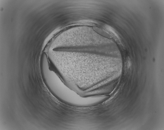 X0000081431180200702021645