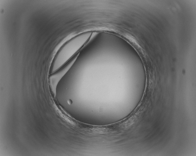 X0000081431181200702021645