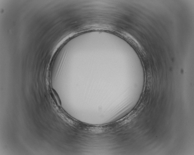 X0000081431182200702021645