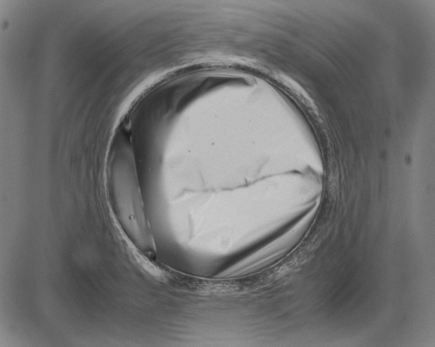 X0000081431183200702021645