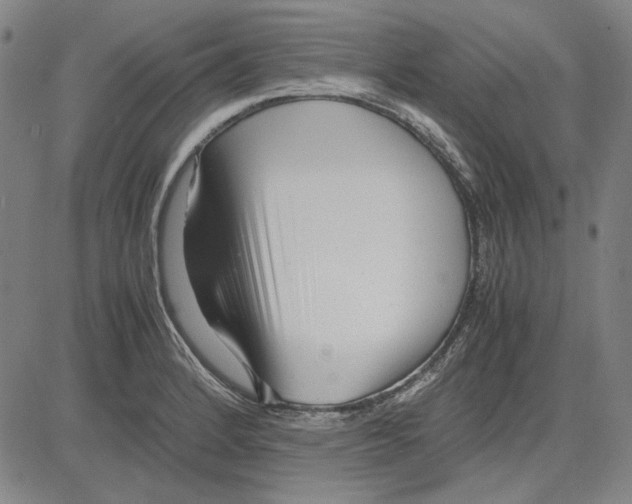 X0000081431184200702021645