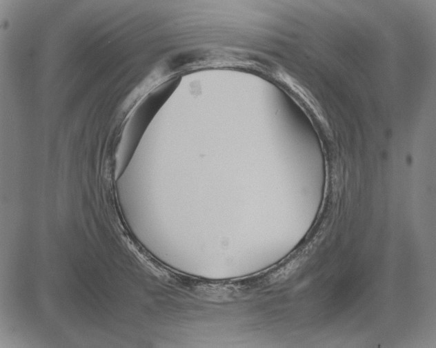 X0000081431185200702021645