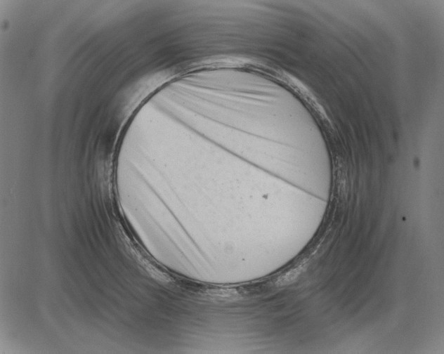 X0000081431186200702021645