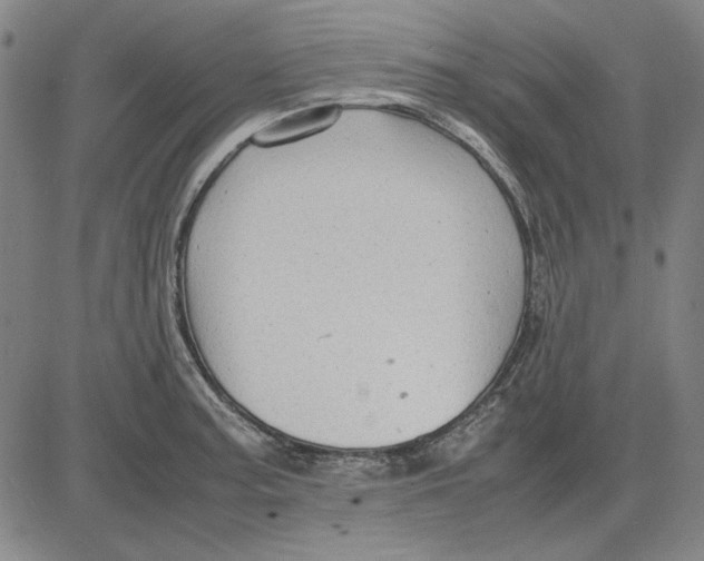 X0000081431187200702021645