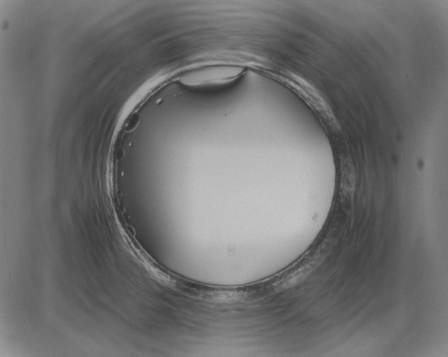 X0000081431188200702021645