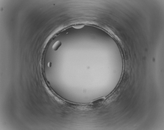 X0000081431189200702021645