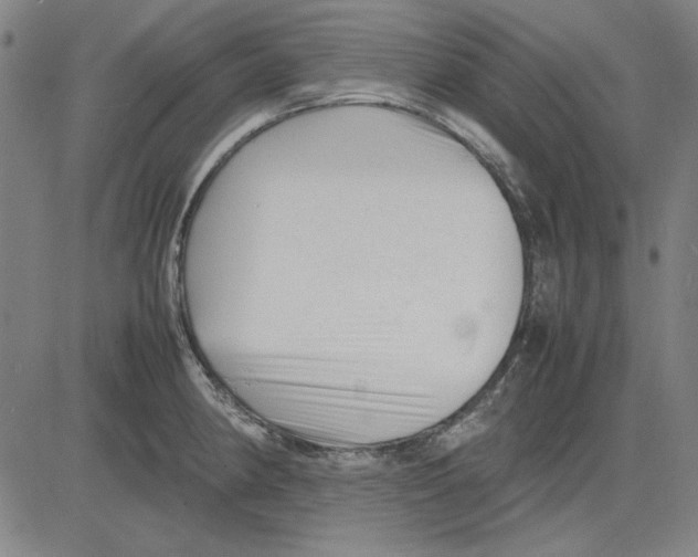 X0000081431190200702021645